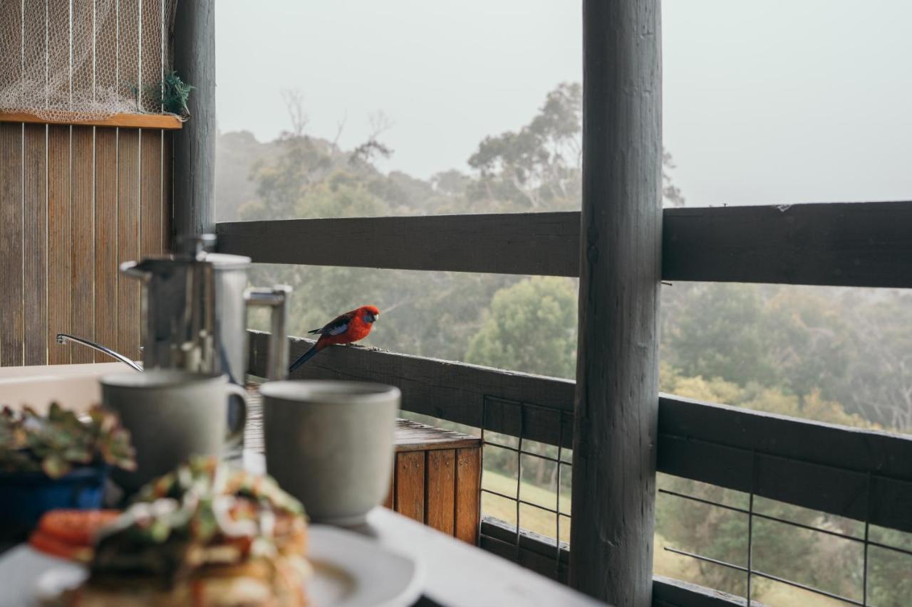 Glenaire Cottages Ngoại thất bức ảnh